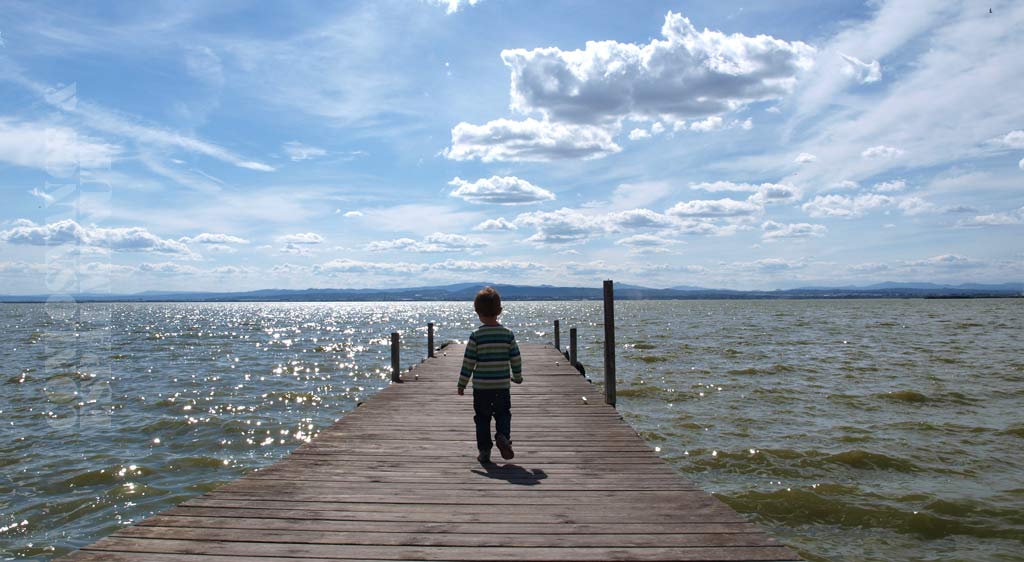 El bosque de la Devesa es uno de los grandes atractivos del Parque Natural de l'Albufera tanto por la flora y fauna que habita en él como por el lago y las dunas que lo cercan. Fotos: Ainhoa Boix.