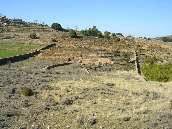 excursio vilafranca paisatge