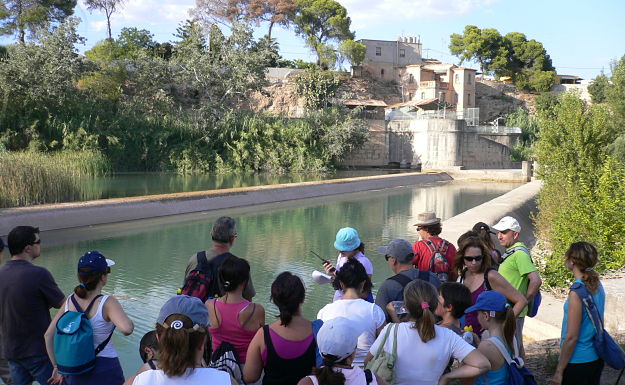 rutas guiadas rio Millars