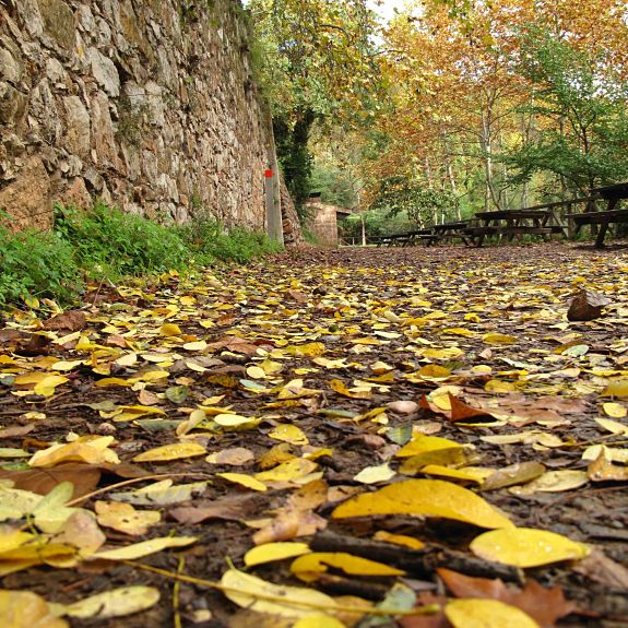 lateral les santes espai menut_opt