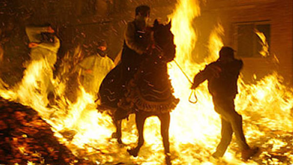 vilanova d'alcolea matxa sant antoni espai menut_opt