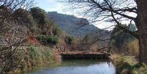 excursion infantil molins aigua Llucena 1_opt