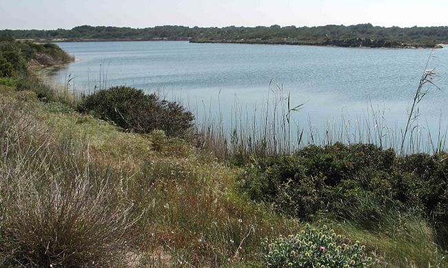 lateral estany de pujol_opt