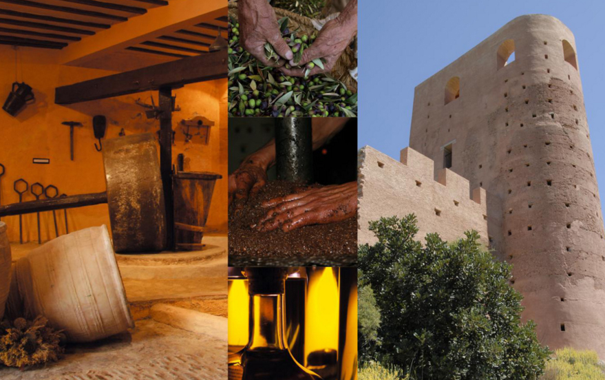 parquesnaturalessolidaridad oliva